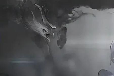 尸角仙学名