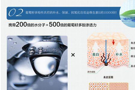 欧泉琳是几线品牌