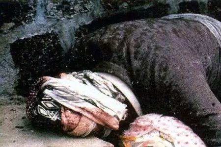 全球每年有多少人饿死