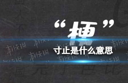 干干什么意思