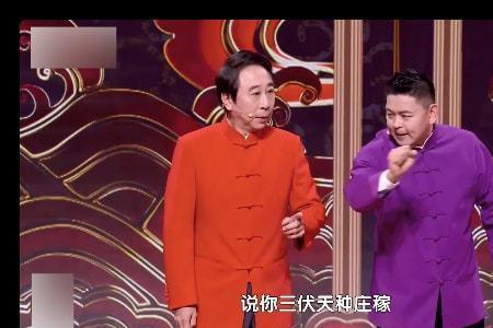 三伏天种庄稼打一明星