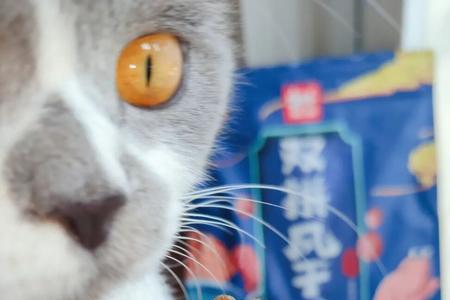豆柴风干双拼和四拼哪个更好