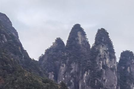 突兀森郁是什么意思