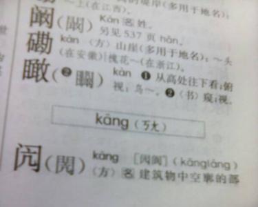 振的同音字有