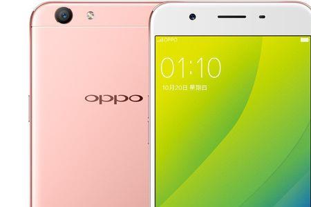 oppoa59s进水显示花屏