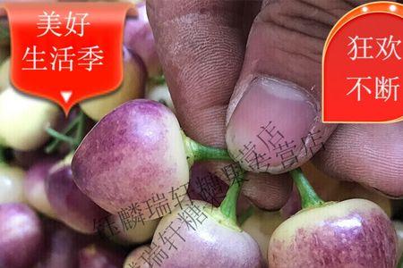 灯笼彩椒是转基因蔬菜吗