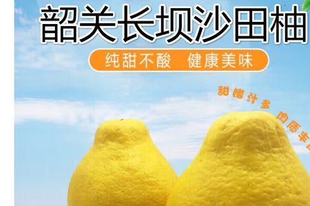 柚子迷你和柚子的区别