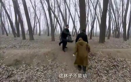 零炮楼文锦和玉仙在一起了吗