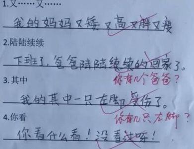 既什么又什么造句