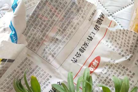 伊洛斯是什么花