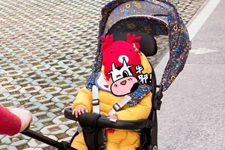 遛娃神器啥时候可以做