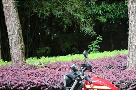 赛科龙ra2和春风哪个好