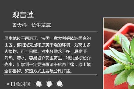 多肉各部位名称