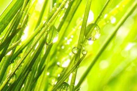 栖雨的意思