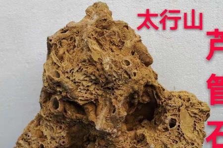上水石和吸水石的区别