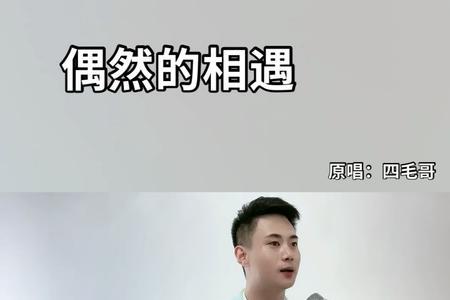 爱偶然相遇是什么意思