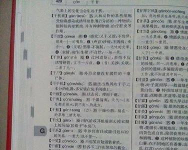 宰有什么组词