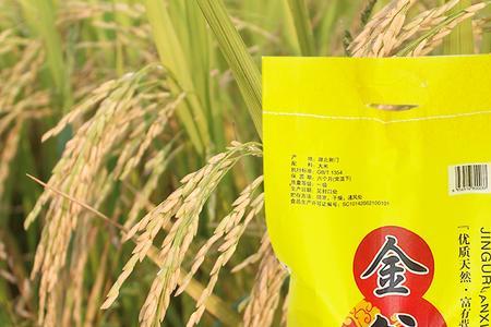 细米和粗米哪个好吃