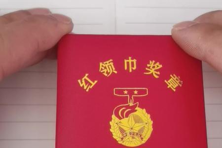 红领巾四星奖章怎么申请