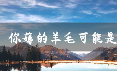 类似薅羊毛的词语