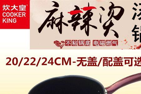 炊大皇是哪个国家的