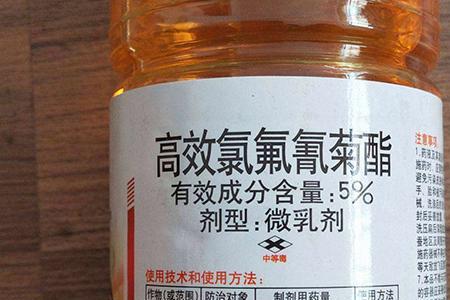 功夫菊酯和高效氯氰菊酯区别