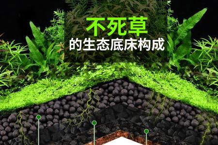 水草泥用久会不会发臭