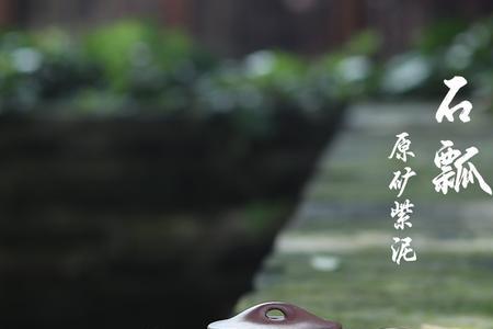 紫泥景舟石瓢泡什么茶比较好