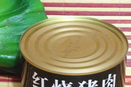 红烧猪肉罐头可以放冰箱冷冻吗