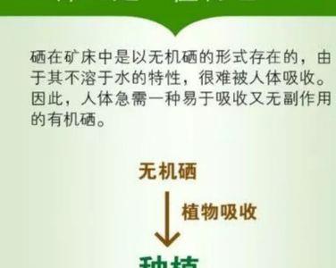 麦芽硒和植物硒哪个更好