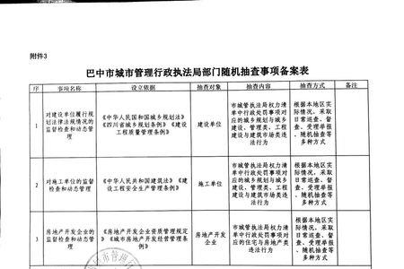 随机执法的意思