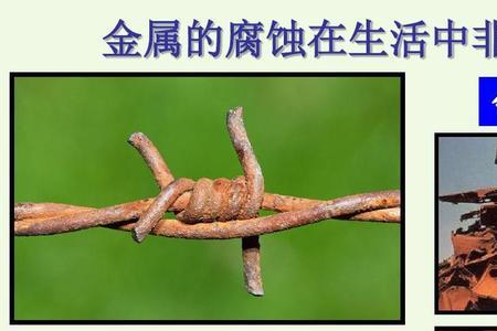 金属材料腐蚀与防护发展前景
