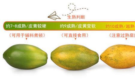 陕西木瓜什么时候成熟