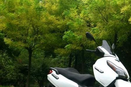 比亚乔x7和九妹z300
