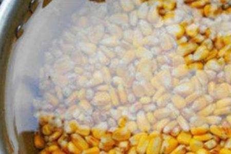 玉米不新鲜还能钓鱼吗
