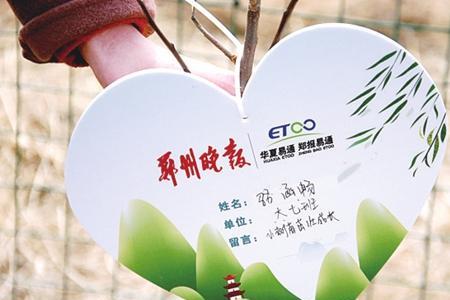 亲情树郑知远女儿依依结局
