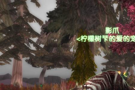 魔兽世界幽灵豹与休玛哪个好