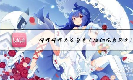 哔哩哔哩出来几年了