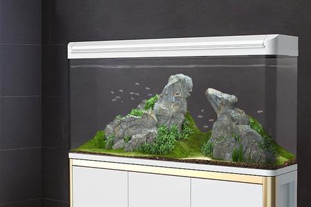 家里俩鱼缸怎么合缸