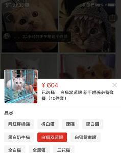 猫咪用品可以在拼多多购买吗