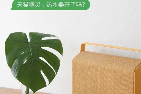 小度鸿雁插座连不上app