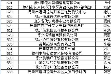 德州十大民营企业排名