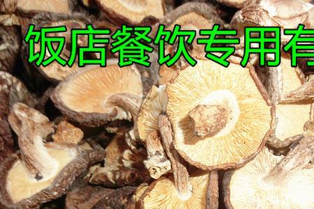 香菇根部叫什么名字