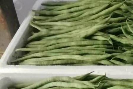 无筋豆开花到结果几天能摘