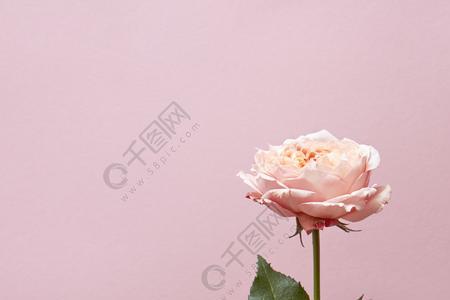 秋冬室内手拿花束怎么拍照好看
