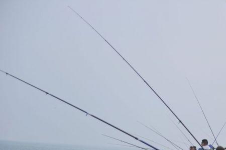 淡水梭鱼钓底还是钓浮