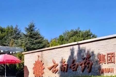 云南丽江首富