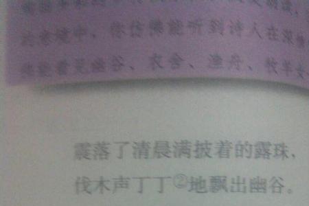 那叮咚的流水声是什么仿写