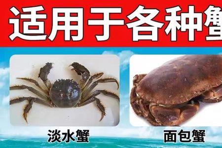 青蟹喜欢什么诱饵
