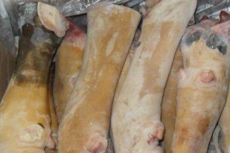 驴尾巴和牛尾巴哪个好吃